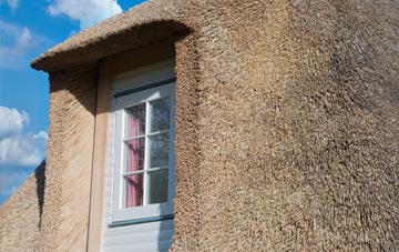 Shap thatch roof disadvantages
