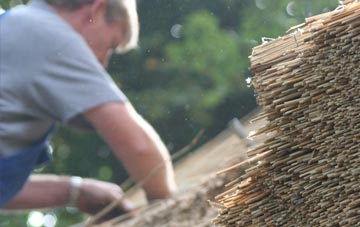 professional Shap thatchers